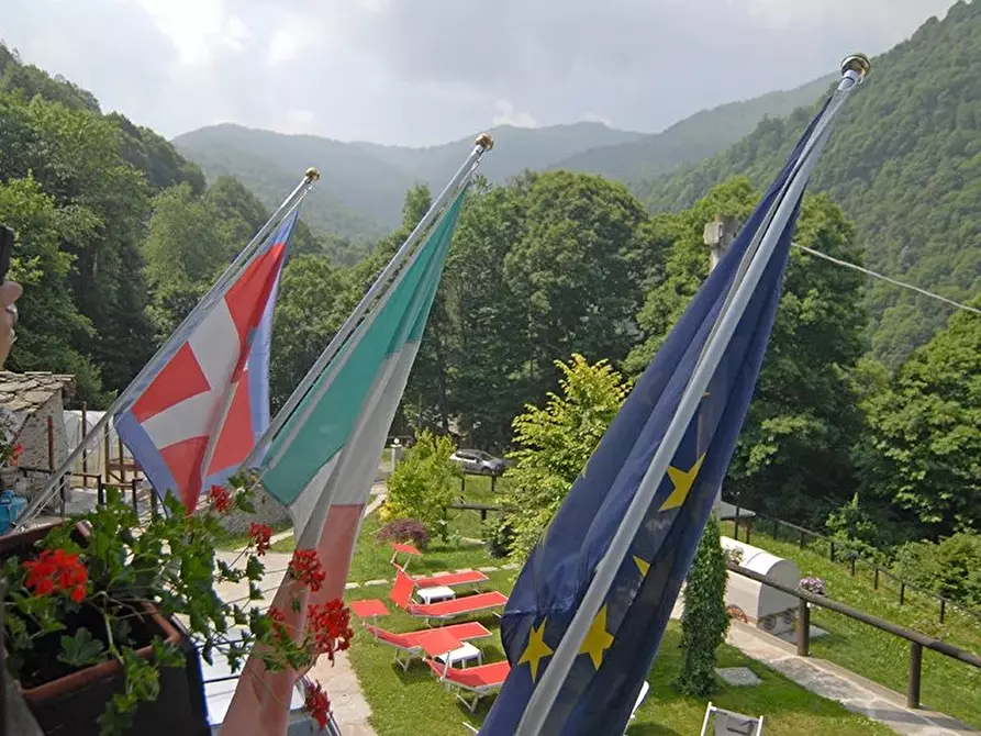 Immagine 13 di Terreno edificabile in vendita  a Bellino