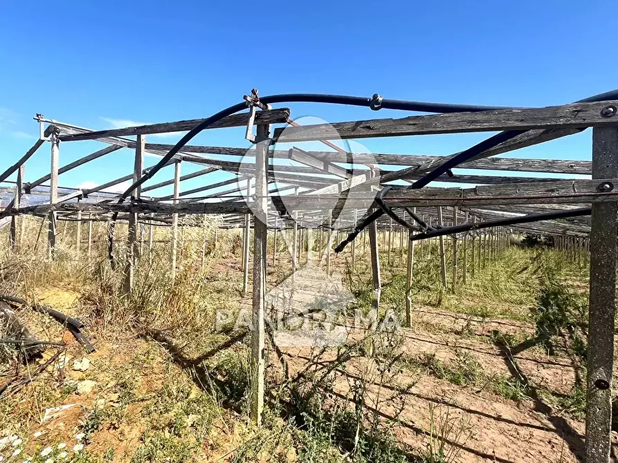 Immagine 20 di Terreno in vendita  a Balestrate