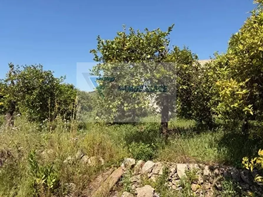 Immagine 14 di Terreno in vendita  in Strada Tremmilia a Siracusa