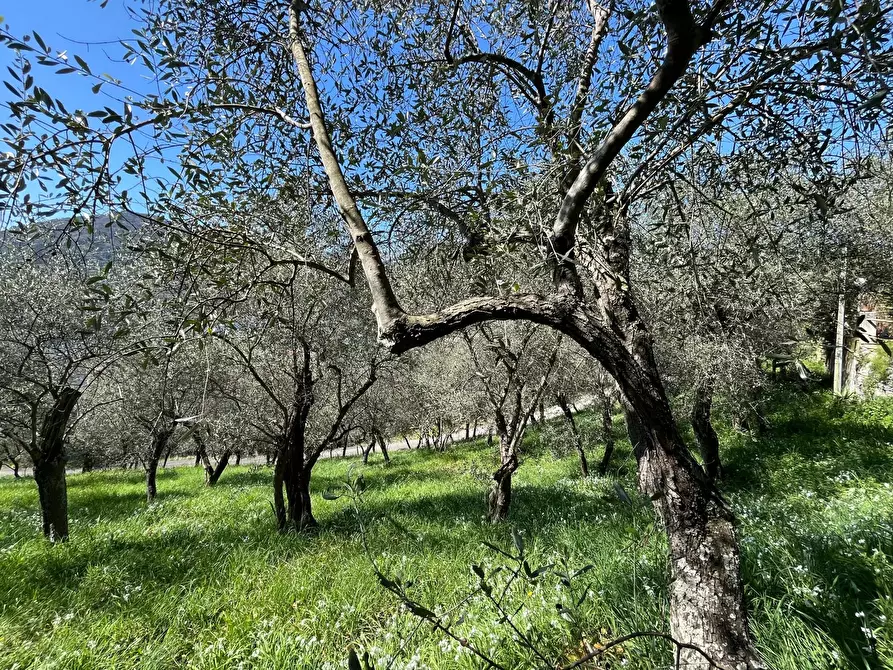 Immagine 12 di Casa trifamiliare in vendita  in Località San Pier di Canne Case Sparse a Chiavari