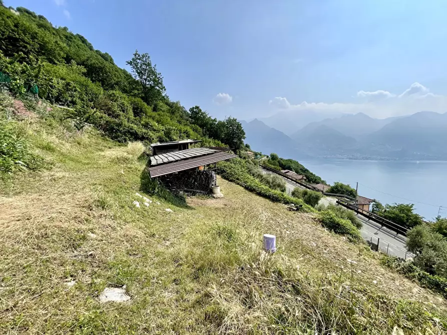 Immagine 1 di Terreno in vendita  a Adrara San Martino