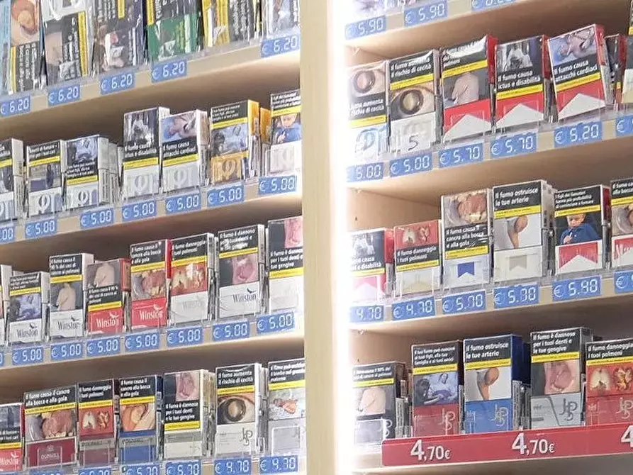 Immagine 5 di Attico in vendita  a Avegno