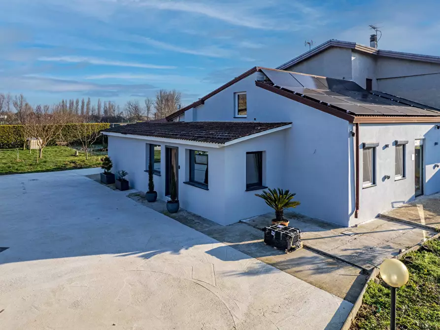 Immagine 2 di Terreno edificabile in vendita  a Campagna Lupia