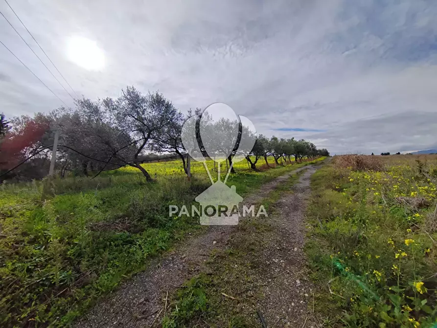 Immagine 14 di Attico in vendita  a Partinico