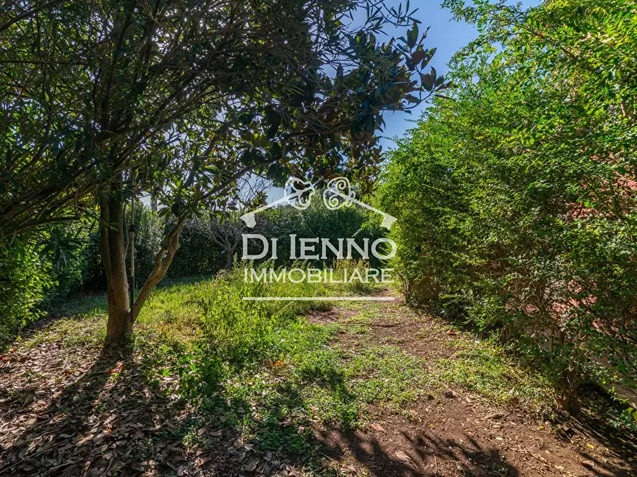 Immagine 35 di Terreno edificabile in vendita  a Canale Monterano