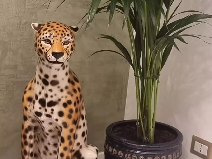 Immagine 43 di Casa trifamiliare in affitto  in Via Giuseppe Luosi a Milano