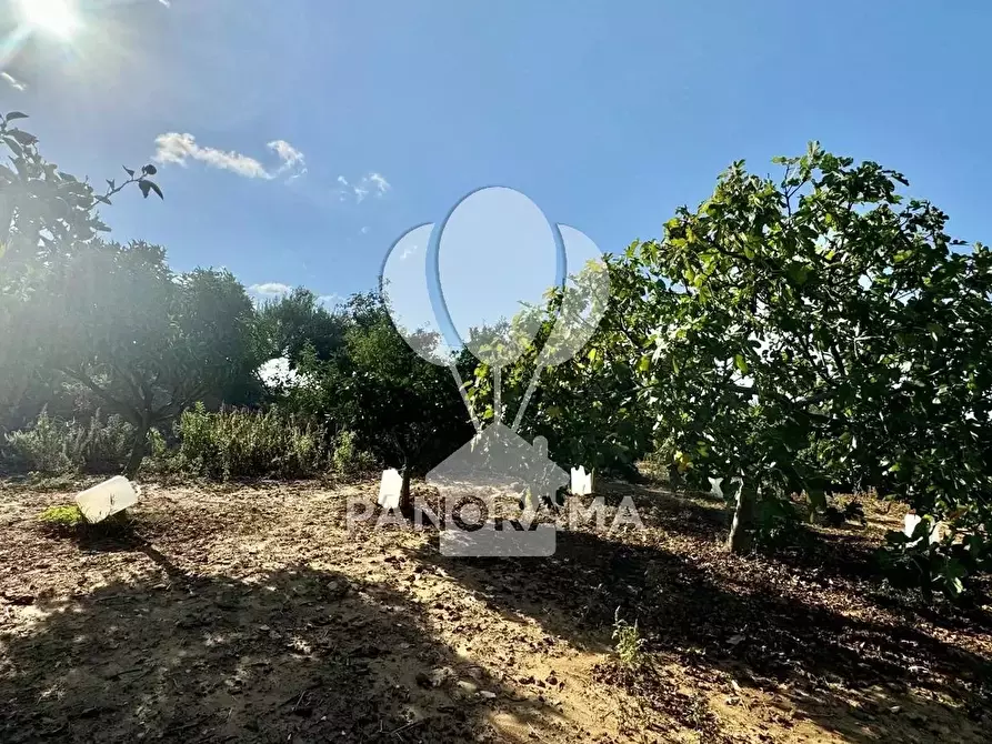 Immagine 37 di Terreno edificabile in vendita  in Contrada Casale a Alcamo