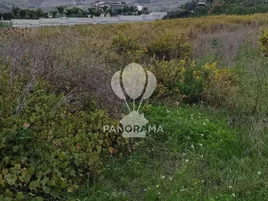 Immagine 7 di Terreno in vendita  in Rurale 14 a Partinico