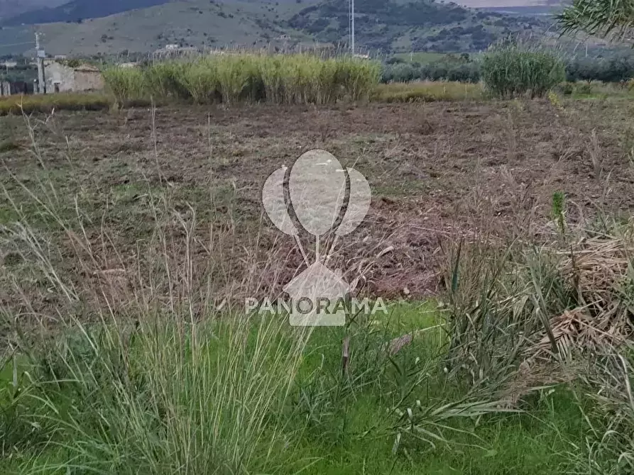 Immagine 2 di Terreno in vendita  in Rurale 14 a Partinico