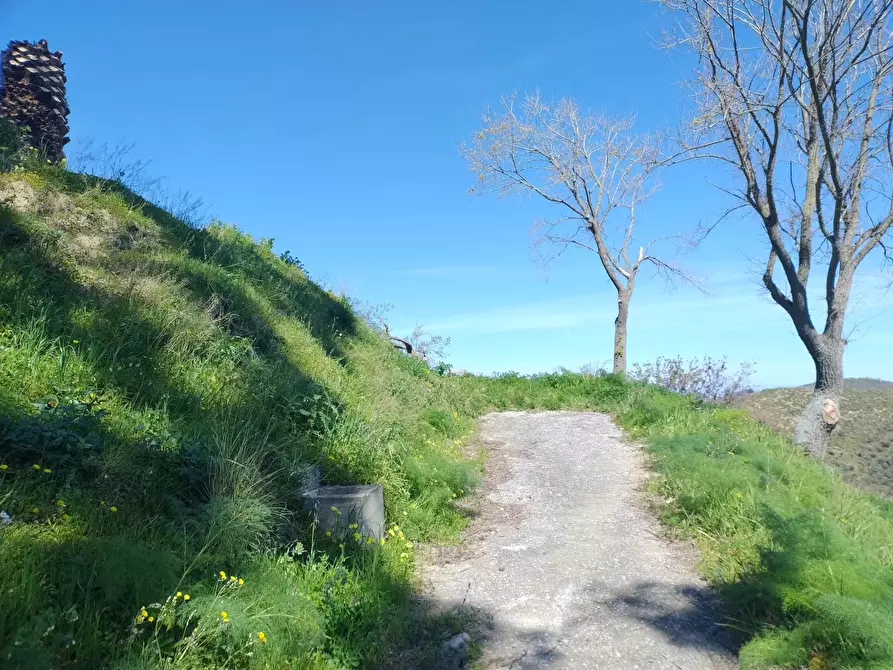 Immagine 6 di Terreno in vendita  in Contrada Bosco, roccavaldina, me a Condrò