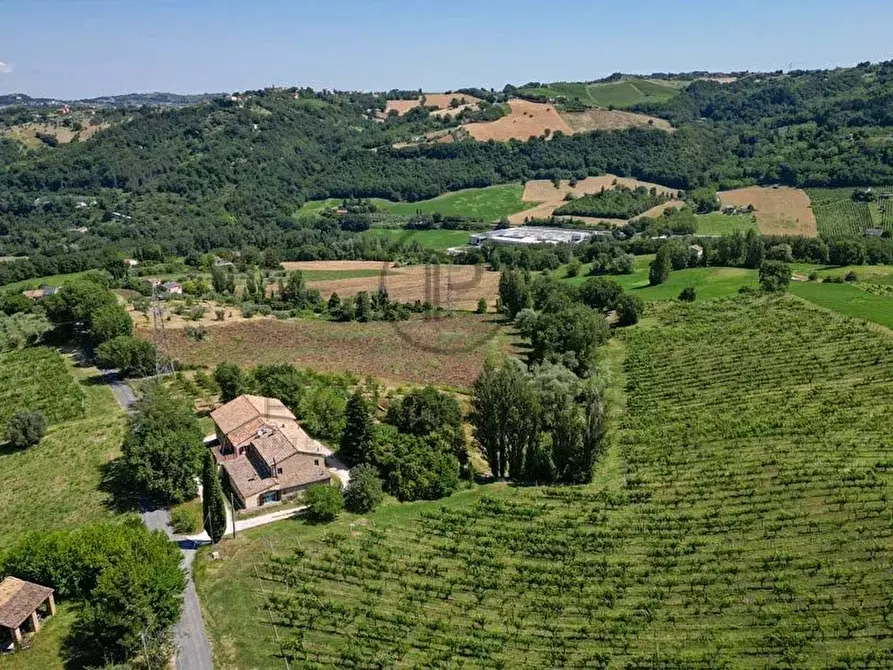 Immagine 25 di Terreno edificabile in vendita  in Serra San Quirico a Serra San Quirico