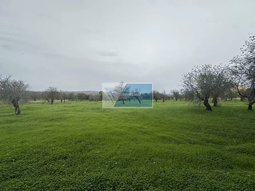 Immagine 29 di Terreno edificabile in vendita  in Rametta noto a Noto