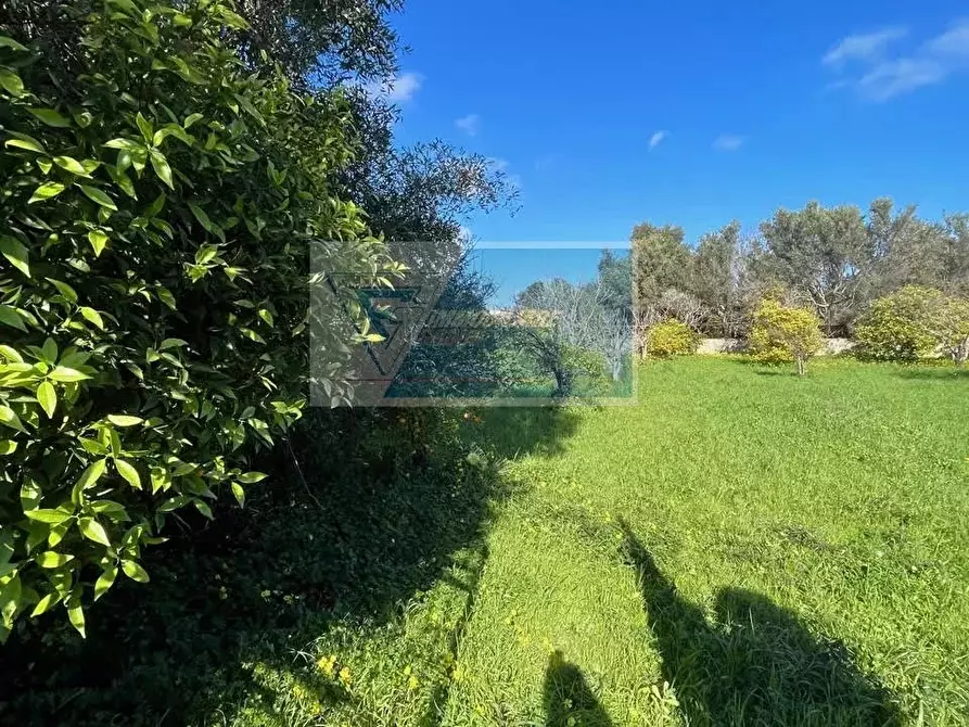 Immagine 9 di Terreno in vendita  in Via Del Pettirosso a Siracusa