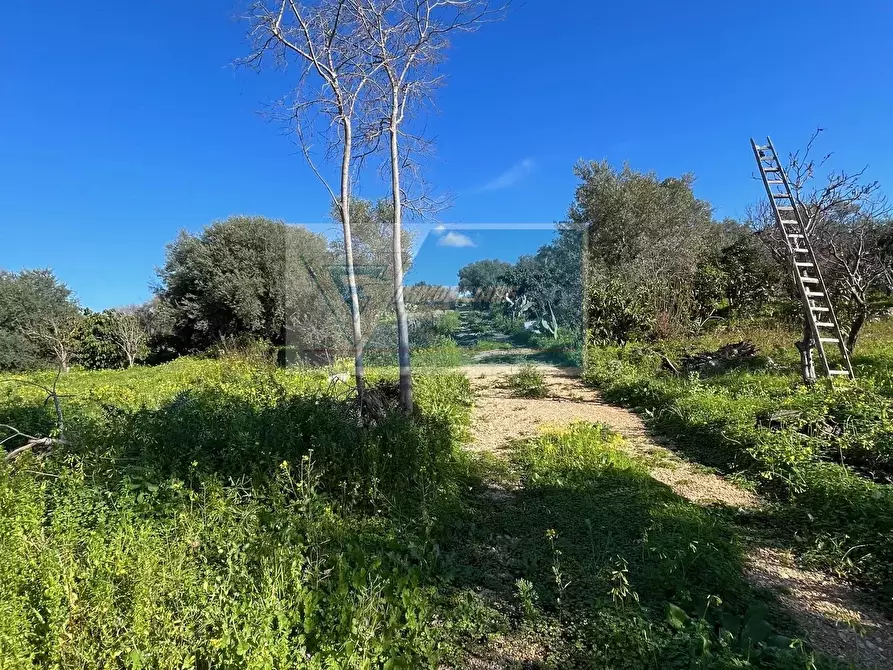 Immagine 2 di Terreno in vendita  in Trav. Mulino Marino a Siracusa