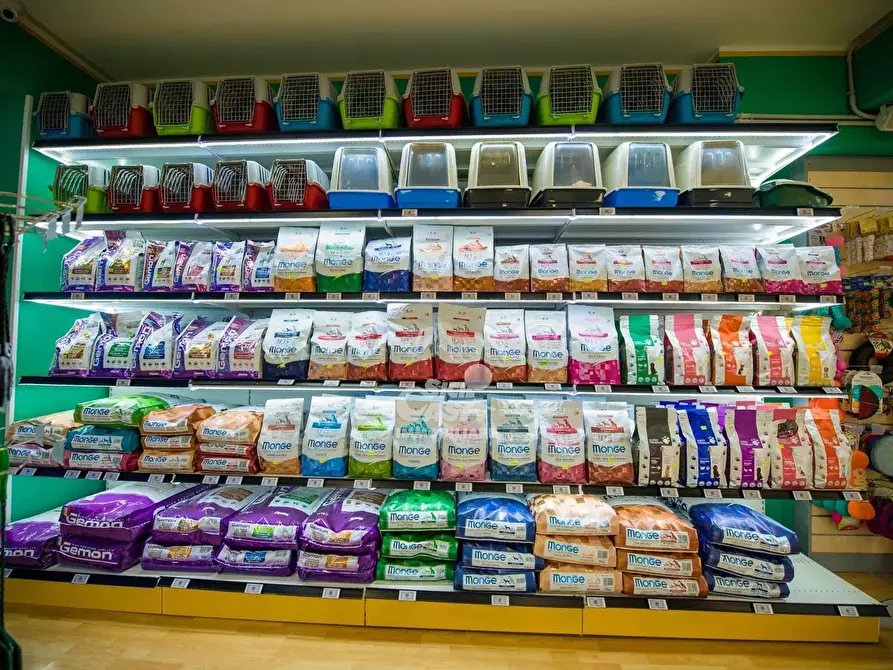 Immagine 5 di Attico in affitto  a Marsala