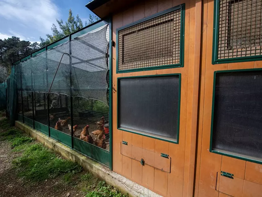 Immagine 46 di Terreno edificabile in vendita  in Via Nansola a Avegno