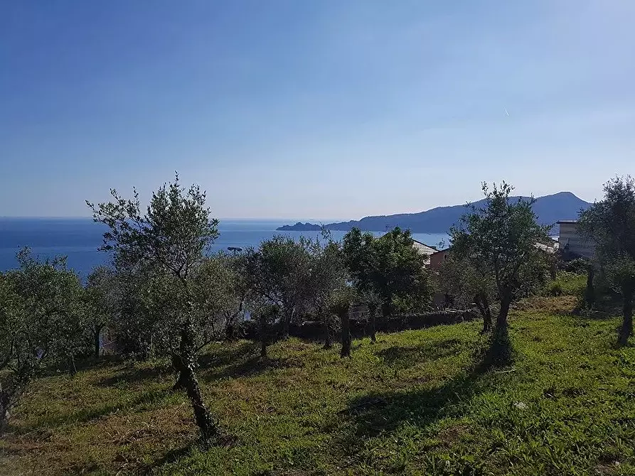 Immagine 3 di Terreno edificabile in vendita  in Sant'Andrea di Rovereto a Chiavari