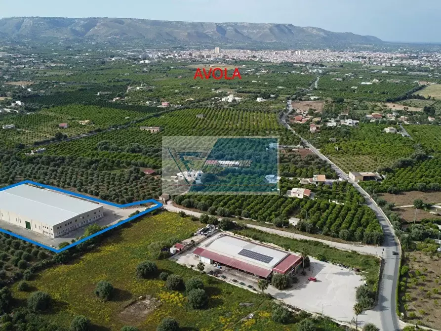 Immagine 2 di Casa bifamiliare in affitto  a Avola