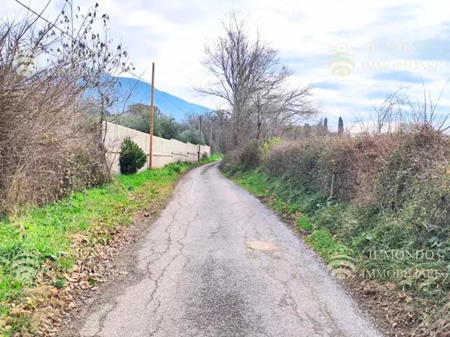 Immagine 8 di Terreno in vendita  in Località Albanetta, snc. a Palombara Sabina