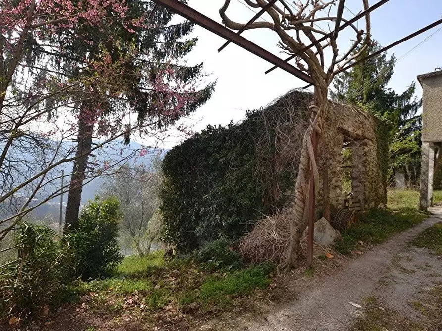 Immagine 4 di Terreno edificabile in vendita  a Avegno
