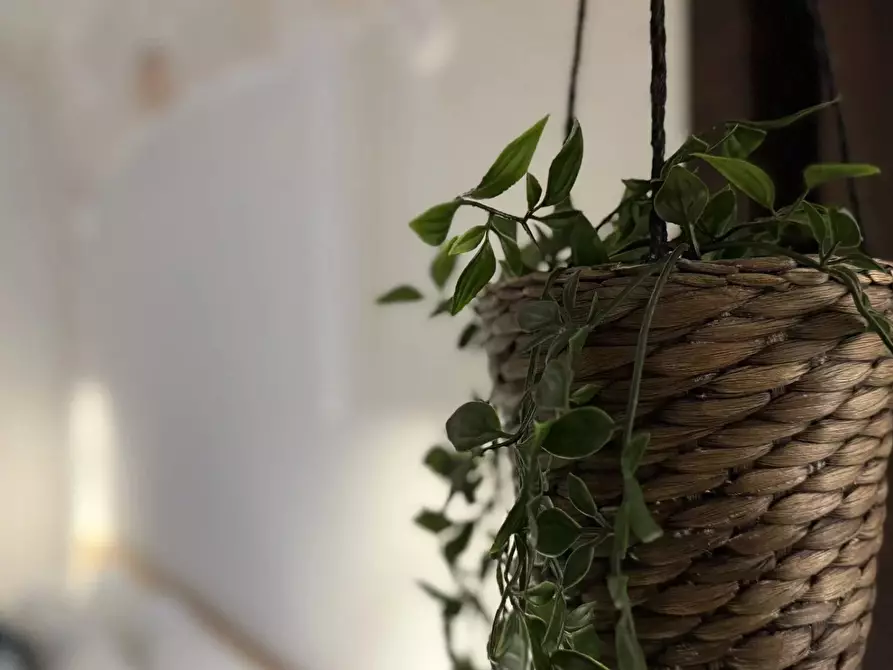 Immagine 5 di Casa trifamiliare in vendita  in Via Giuseppe Mazzini, 62 a Monopoli
