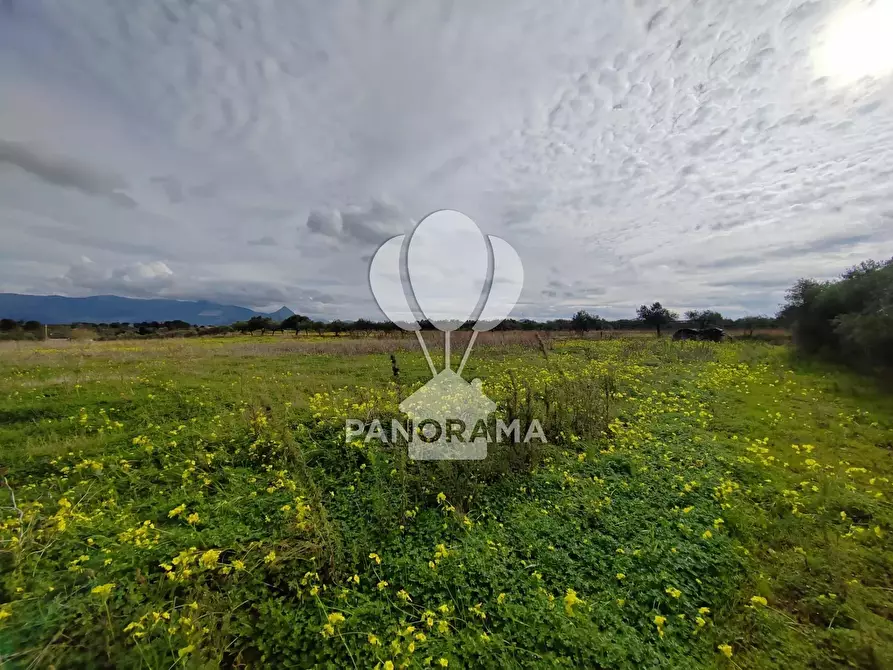 Immagine 11 di Attico in vendita  a Partinico