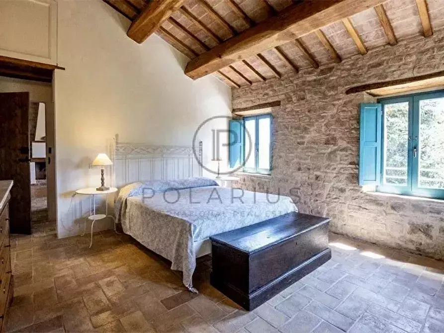 Immagine 4 di Terreno edificabile in vendita  in Serra San Quirico a Serra San Quirico