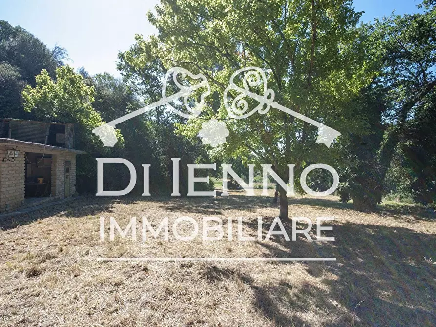 Immagine 17 di Terreno in vendita  a Roma