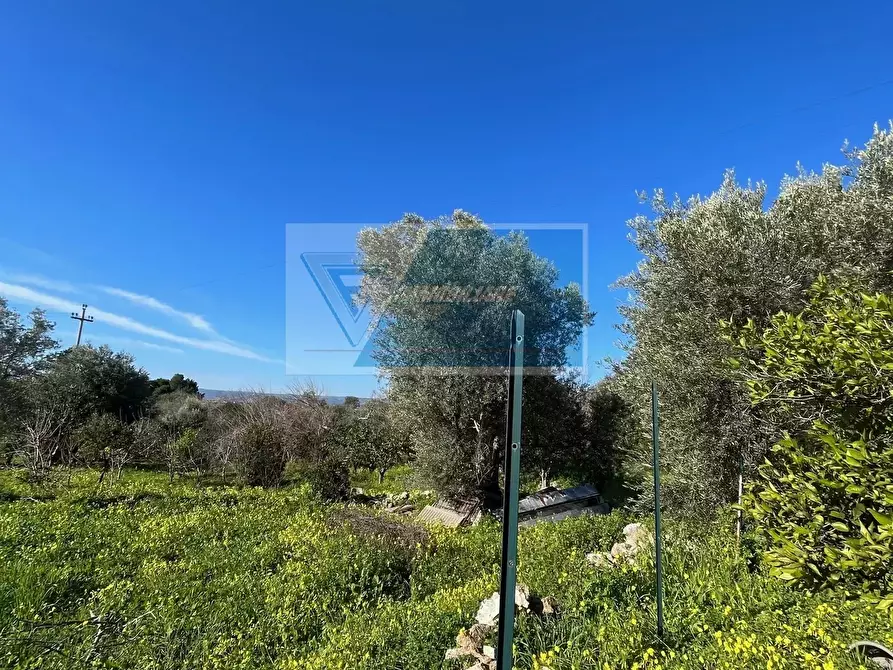 Immagine 5 di Terreno in vendita  in Trav. Mulino Marino a Siracusa