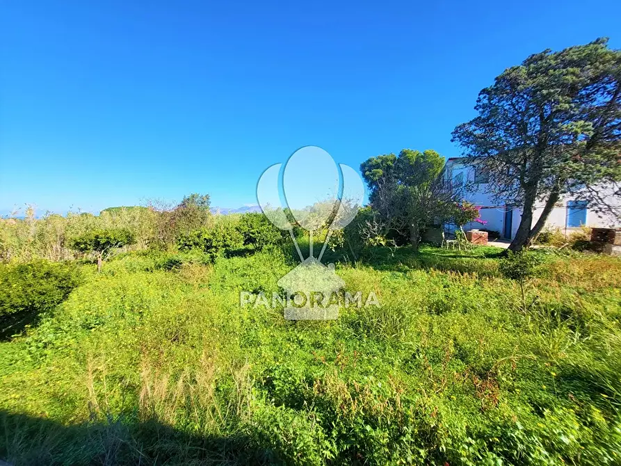 Immagine 19 di Terreno edificabile in vendita  in Contrada Bosco Falconeria a Partinico