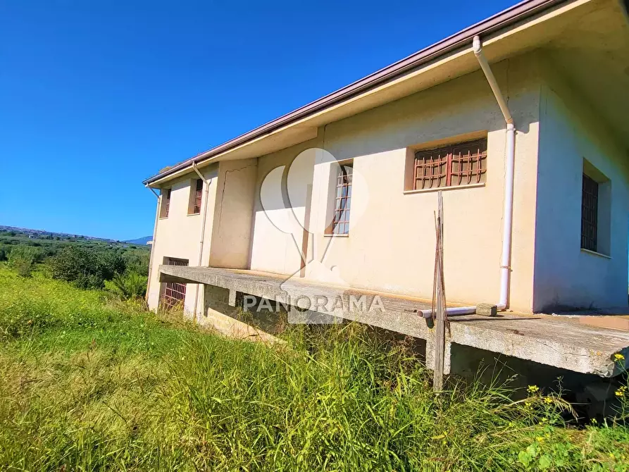 Immagine 8 di Terreno edificabile in vendita  in Contrada Bosco Falconeria a Partinico
