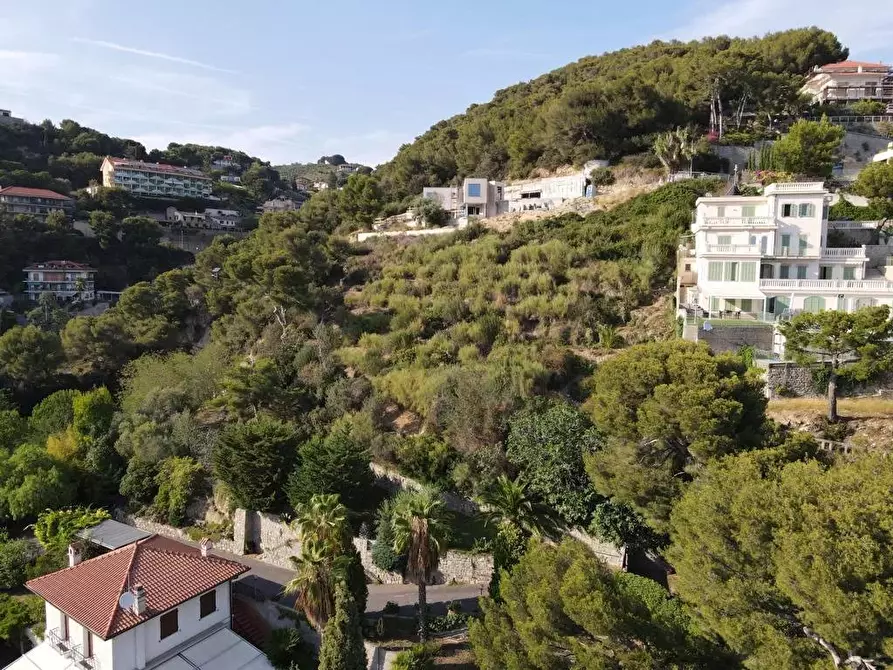 Immagine 7 di Terreno edificabile in vendita  a Bordighera