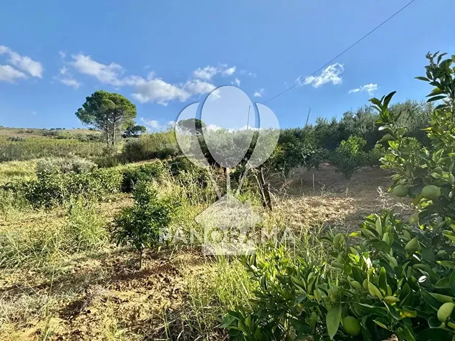 Immagine 32 di Terreno edificabile in vendita  in Contrada Casale a Alcamo