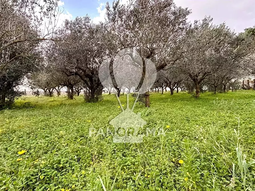 Immagine 8 di Terreno edificabile in vendita  in Contrada Bosco Falconeria SNC, 90047 Partinico PA, Italy a Partinico