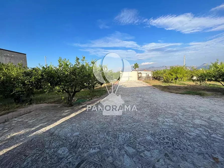 Immagine 36 di Terreno edificabile in vendita  in Contrada Velez a Balestrate