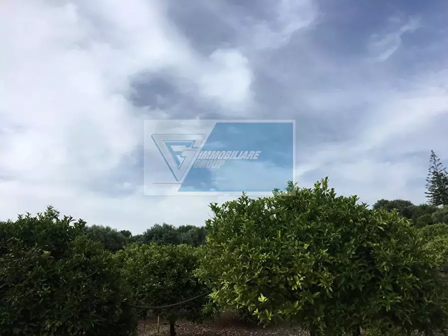 Immagine 3 di Terreno in vendita  a Siracusa
