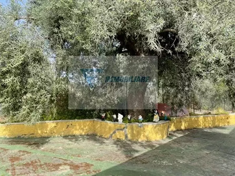 Immagine 7 di Terreno edificabile in vendita  in Ronco Tarantello a Siracusa