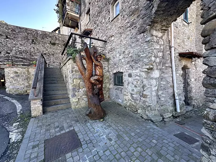 Immagine 17 di Casa trifamiliare in vendita  a Vallecrosia