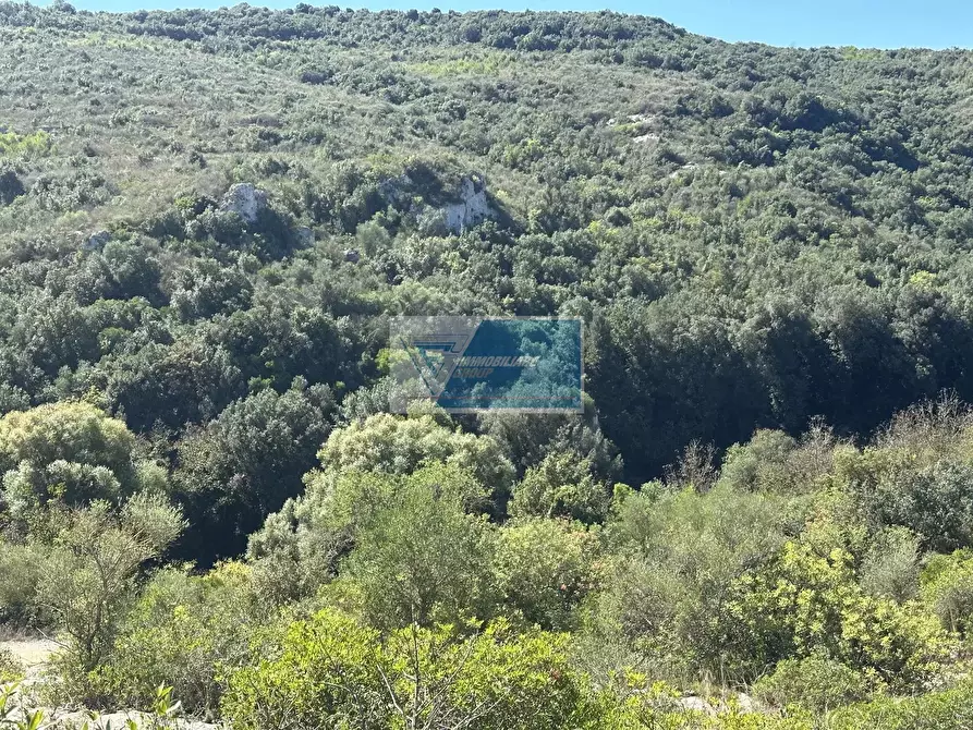 Immagine 9 di Casa trifamiliare in vendita  a Noto