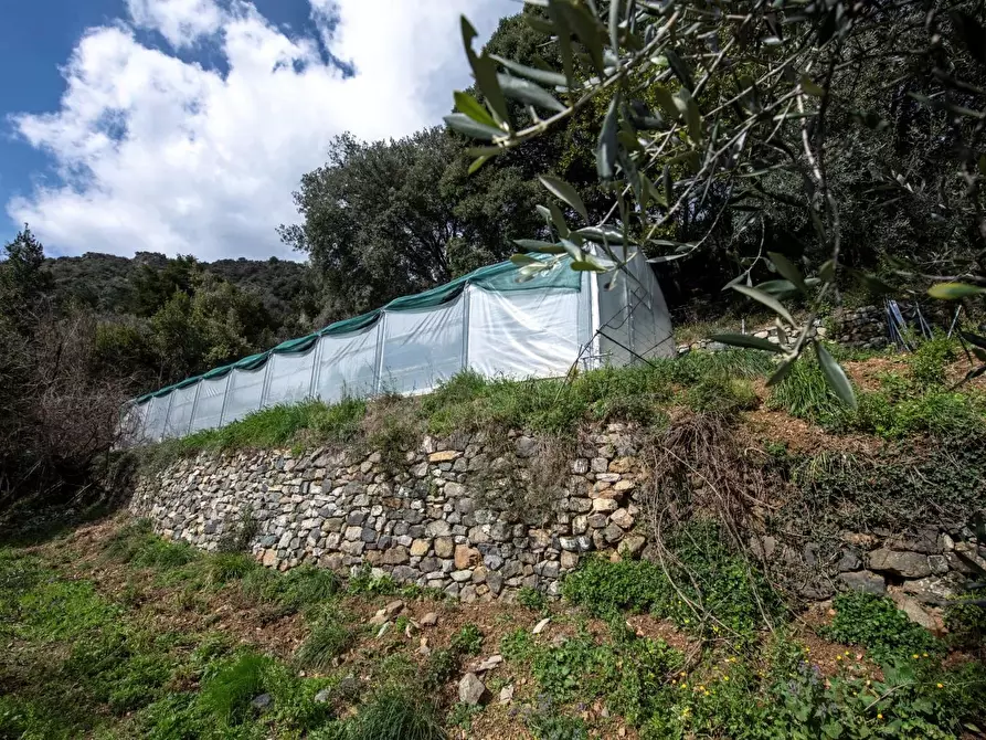Immagine 48 di Terreno edificabile in vendita  in Via Nansola a Avegno