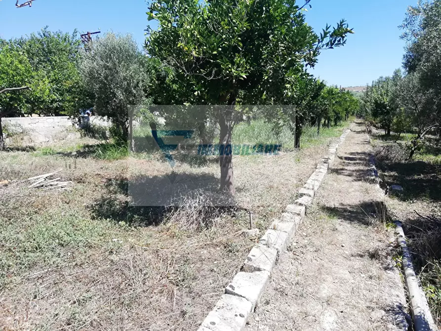 Immagine 15 di Terreno edificabile in vendita  in Traversa Vallone Carancino a Siracusa