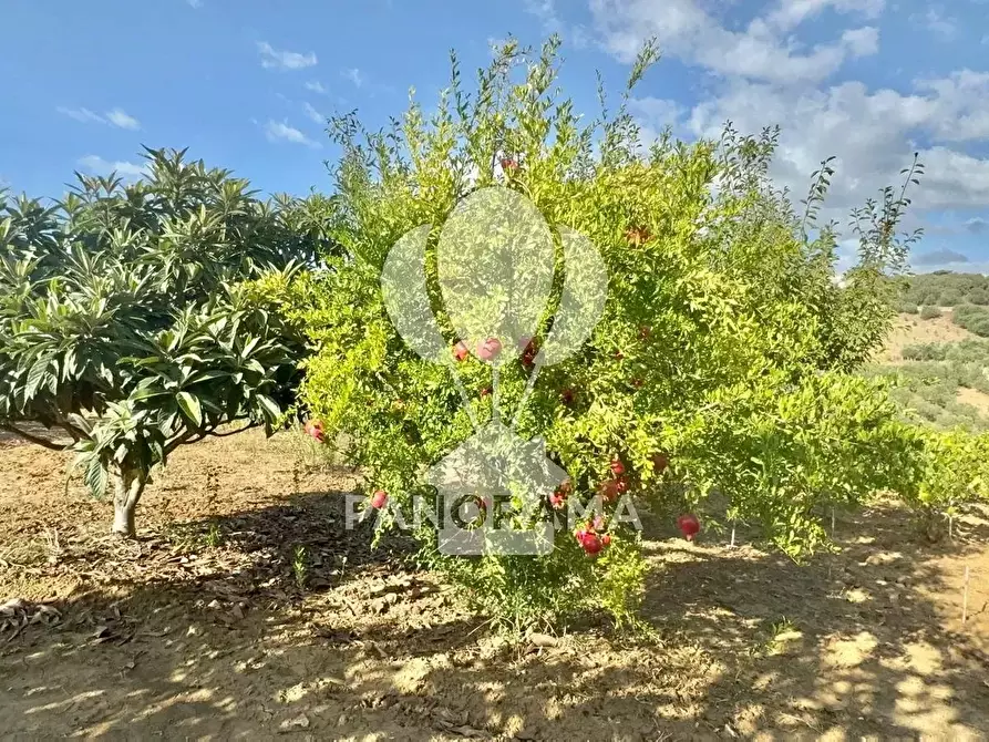 Immagine 20 di Terreno edificabile in vendita  in Contrada Casale a Alcamo