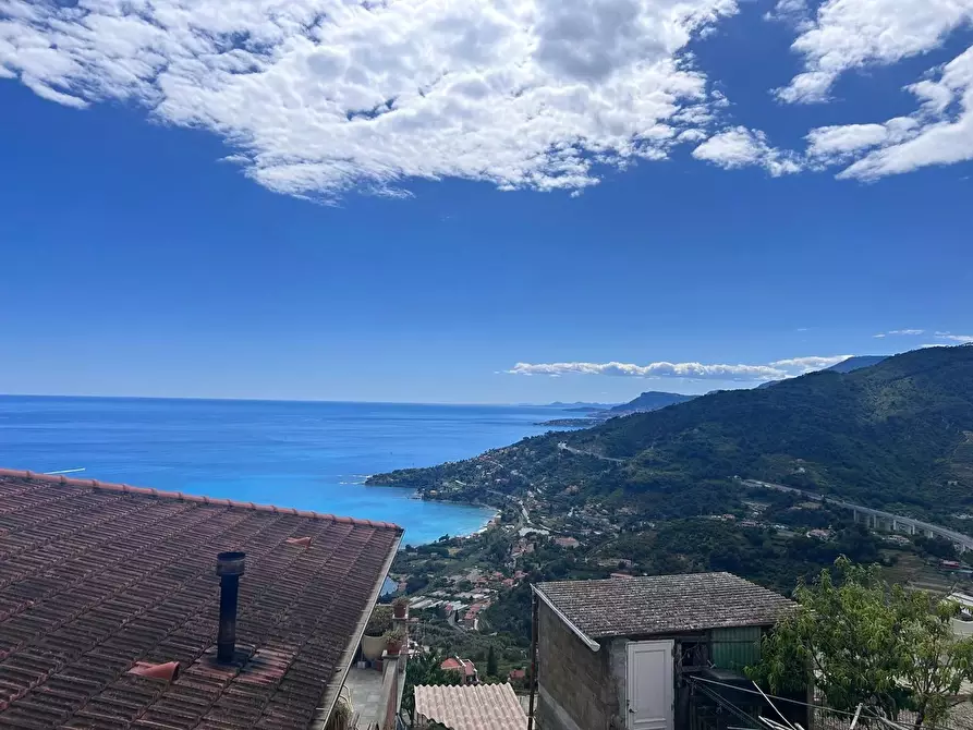 Immagine 1 di Terreno edificabile in vendita  in Località Peidaigo, 77 a Ventimiglia