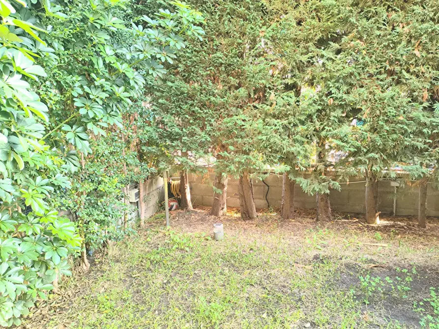 Immagine 13 di Casa trifamiliare in vendita  in Via delle Mimose, 9 a Messina