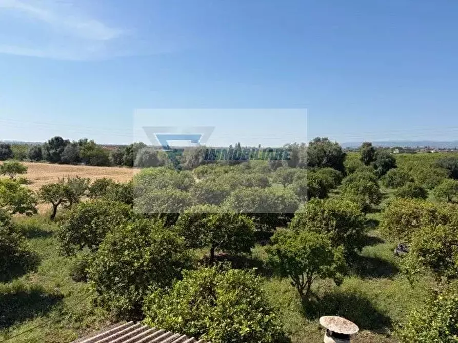 Immagine 18 di Terreno in vendita  in Strada Tremmilia a Siracusa