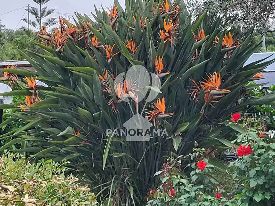 Immagine 35 di Terreno edificabile in vendita  in Costiera Occidentale Partenicense Balestrate a Balestrate