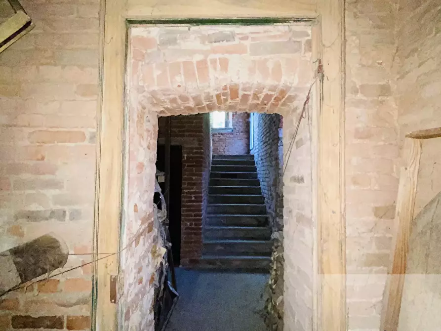 Immagine 9 di Terreno edificabile in vendita  a Bassignana