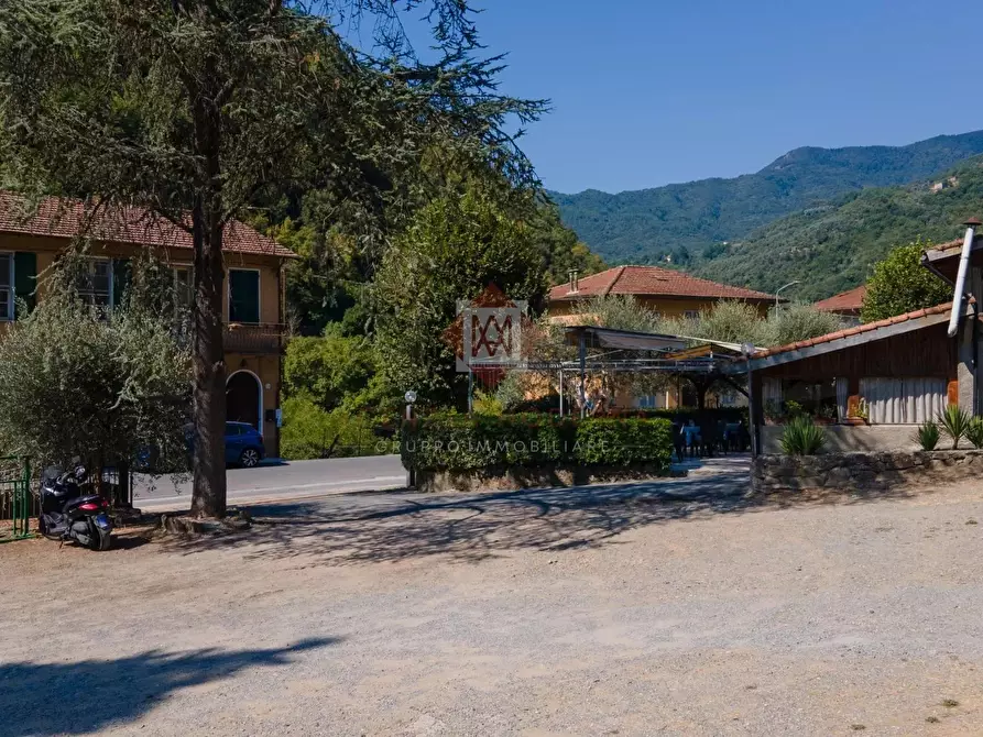 Immagine 3 di Attico in vendita  a Pigna