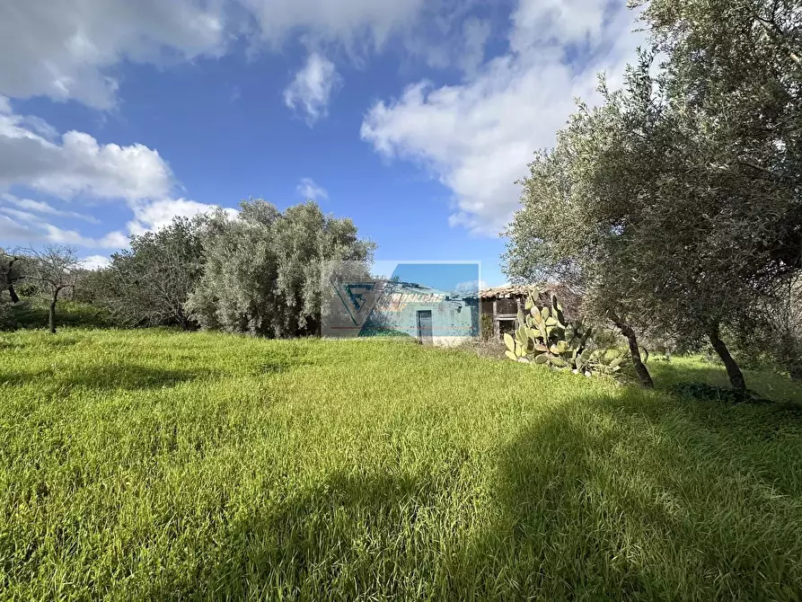 Immagine 23 di Terreno edificabile in vendita  in CONTRADA ASTRACO DI BURLò a Noto