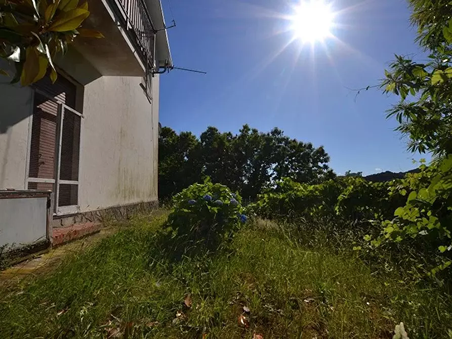 Immagine 7 di Terreno edificabile in vendita  in Viale Costa dei Landò a Avegno